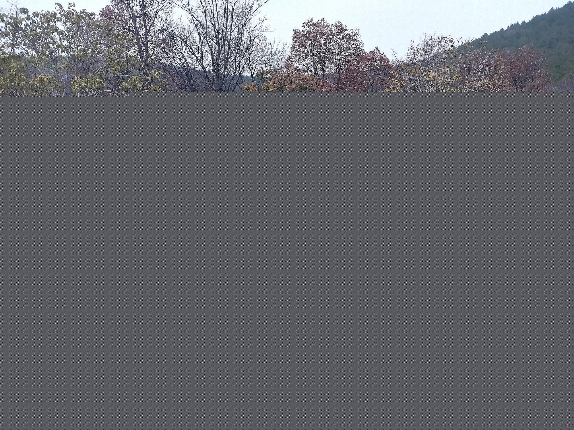 undefined undefined